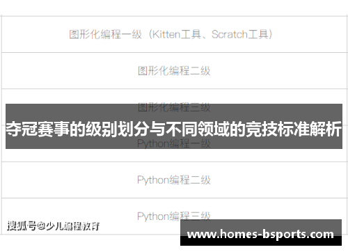 夺冠赛事的级别划分与不同领域的竞技标准解析